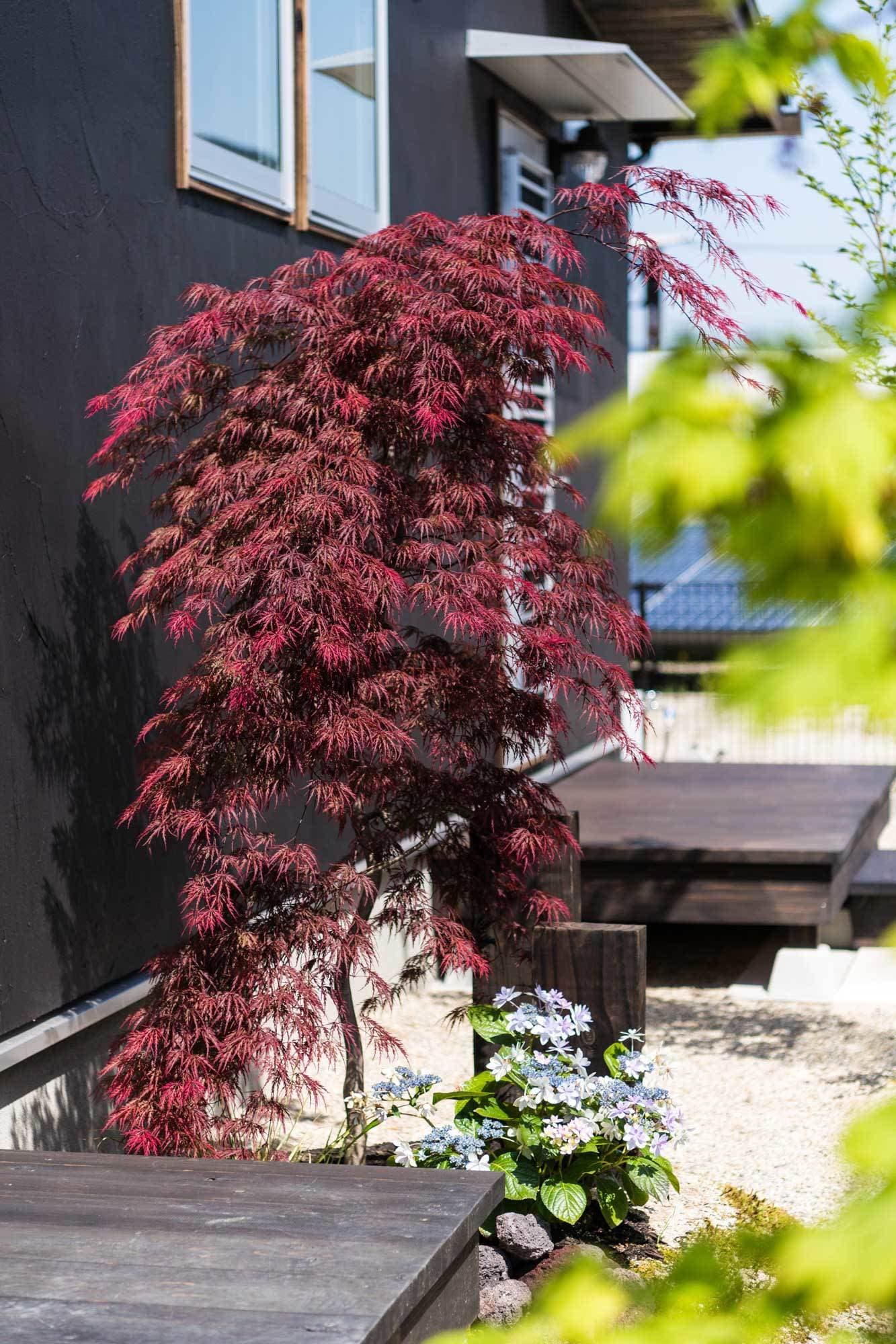 事例_造園